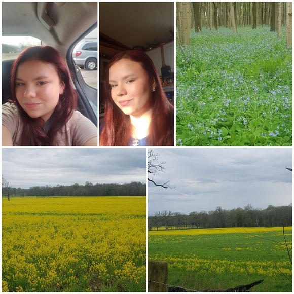 live show listing like to be notified when im live - Picture 3 of 15